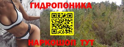 твердый Апшеронск