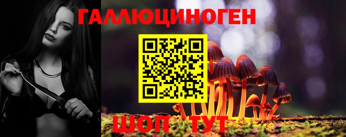 Псилоцибиновые грибы Cubensis Волгоград