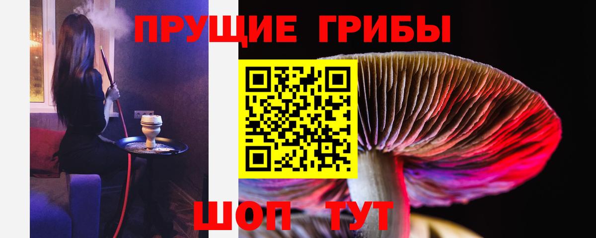 Волгоград  Псилоцибиновые грибы ЛСД  Вход с VPN  Псилоцибиновые грибы мицелий 